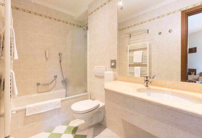 景色の見えるジュニアスイート, Delfino Lugano