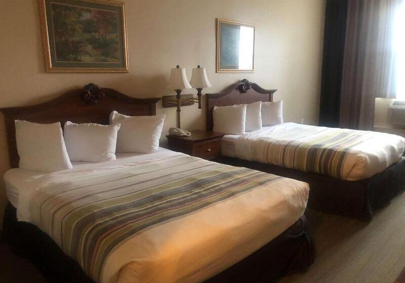 スイート, Delfino Lugano