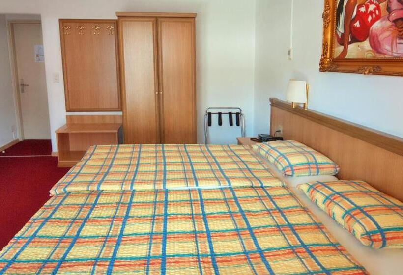 Cameră Standard, Dischma   Free Bus And Train Ticket