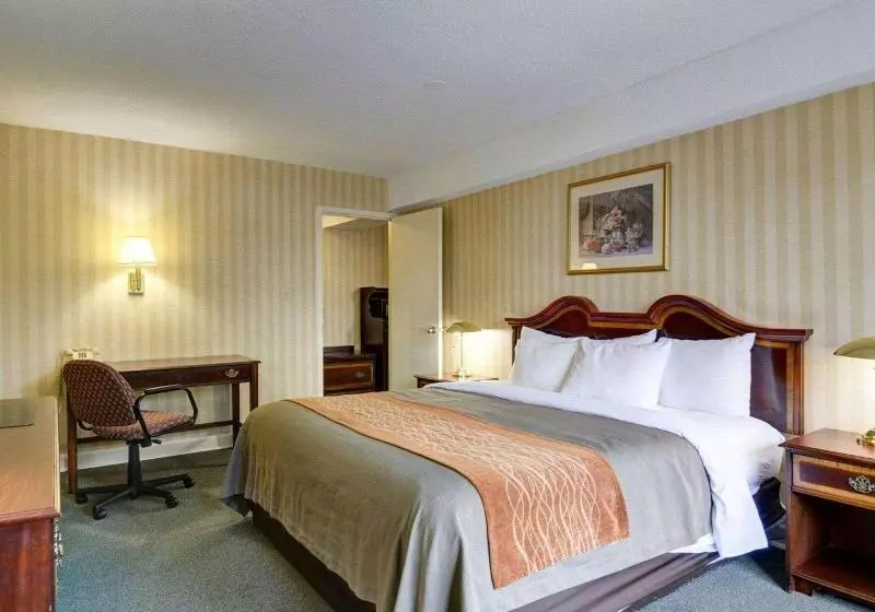 Comfort Room, Eden Spiez