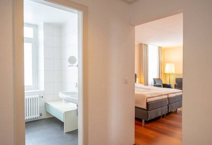 스탠다드 룸, Europe