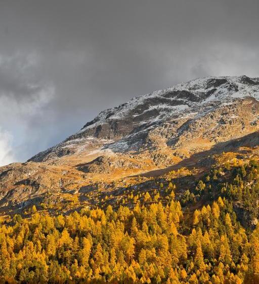 חדר סופריור, Nolda
