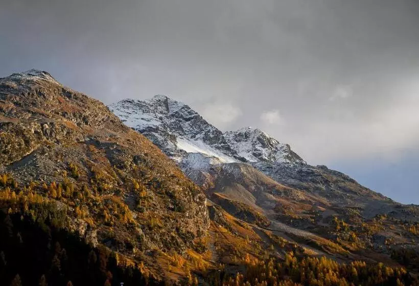 Cameră Superioară, Nolda