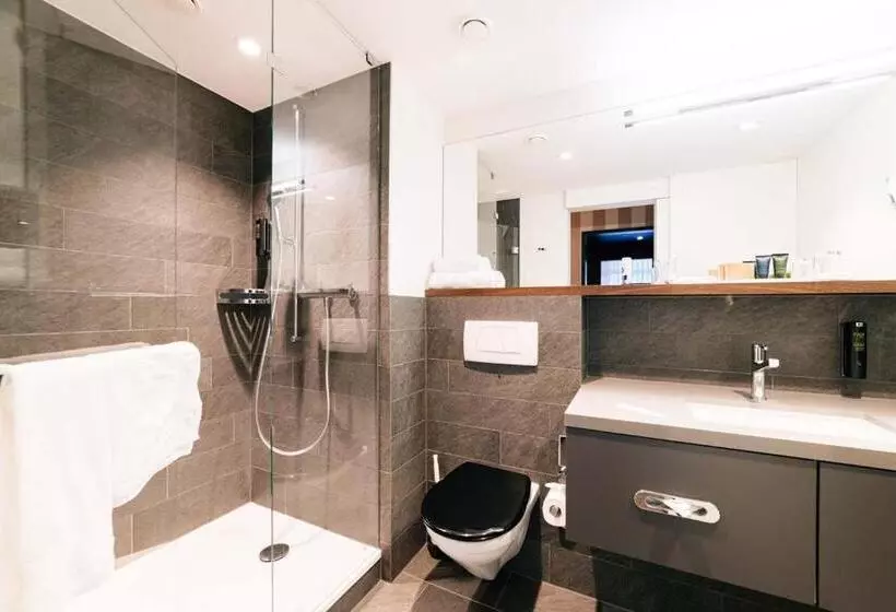 Business Room, Park Hotel Winterthur