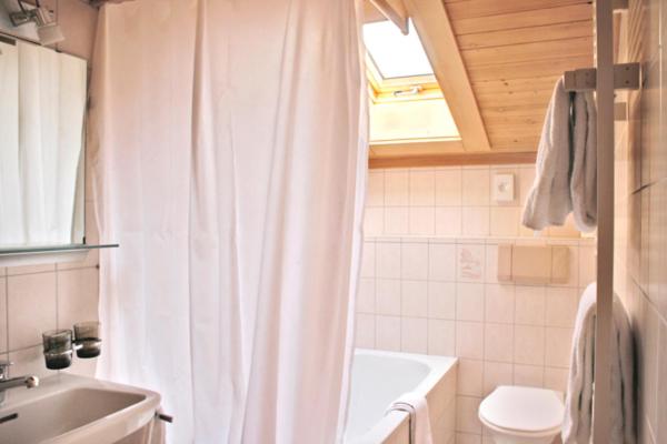 标准间, Saanerhof