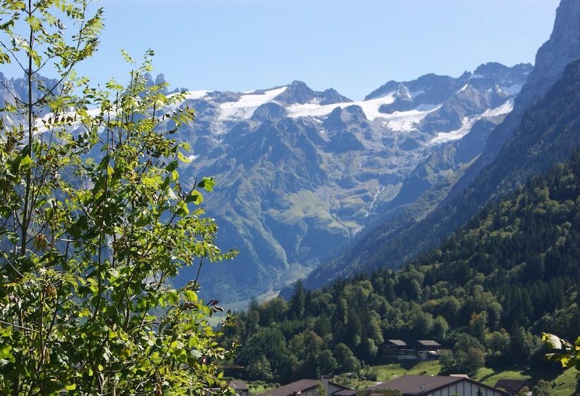 Номер Economy, Schweizerhof