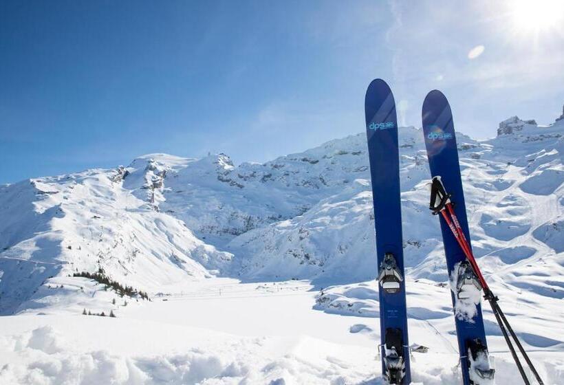 Номер Стандарт, Schweizerhof