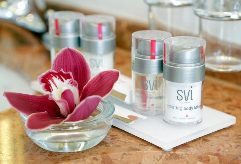 琮城市景观的豪华间, Schweizerhof Luzern