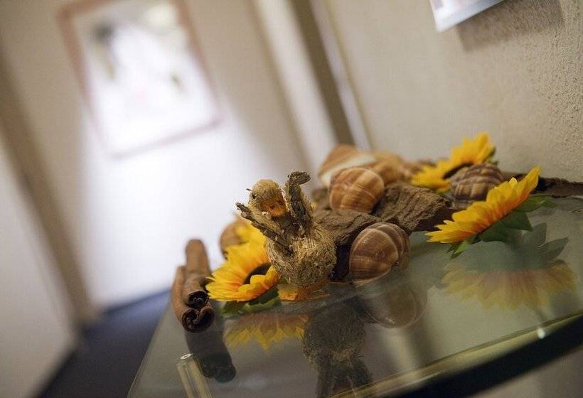 四人标准间, Stella Swiss Quality