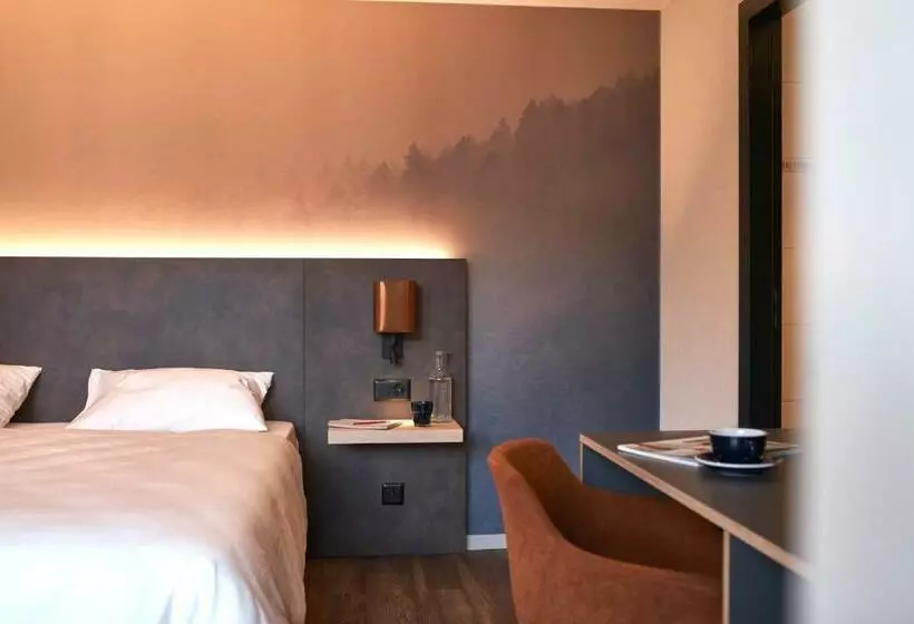 اتاق استاندارد, The Hey Hotel