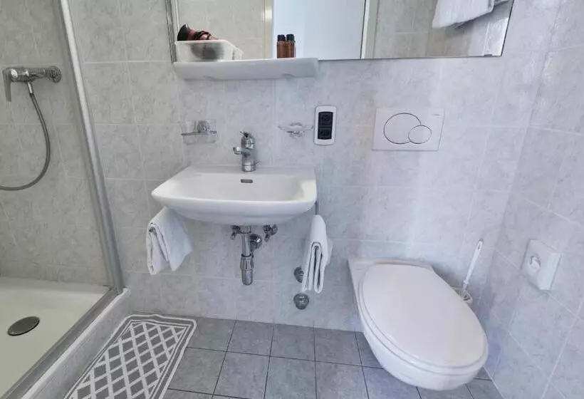 Comfort room with balcony, Zurigo Downtown