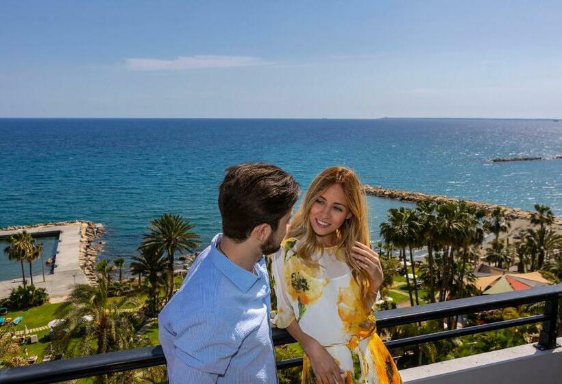 수피리어 룸 바다 전망, Amathus Beach Hotel Limassol