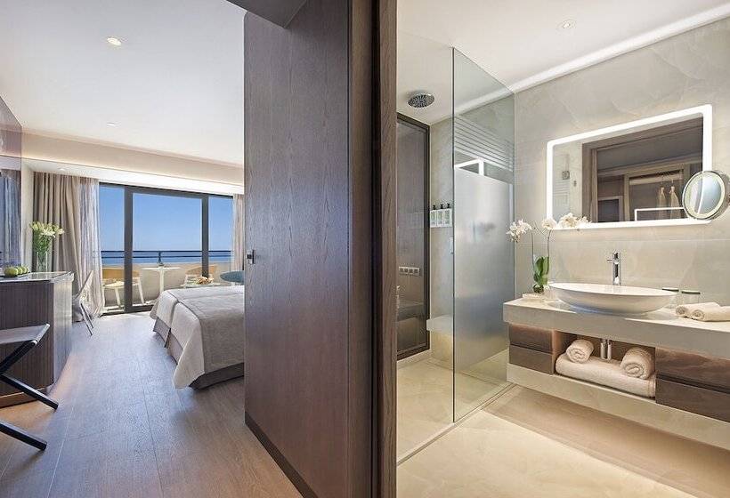 수피리어 룸 바다 전망, Amathus Beach Hotel Limassol