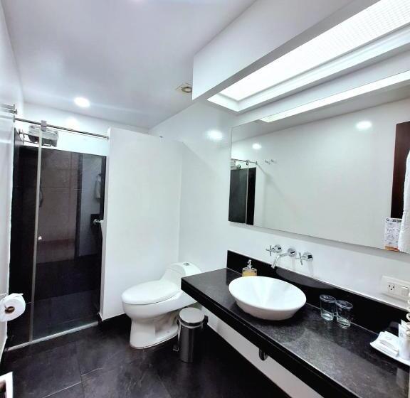 Номер Стандарт Трехместный, Neiva Plaza