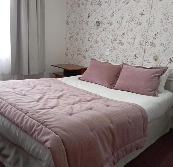 اتاق استاندارد, Nicolás Temuco