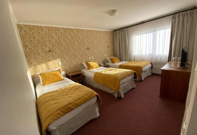 اتاق استاندارد سه نفره, Nicolás Temuco