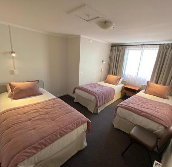 اتاق استاندارد سه نفره, Nicolás Temuco