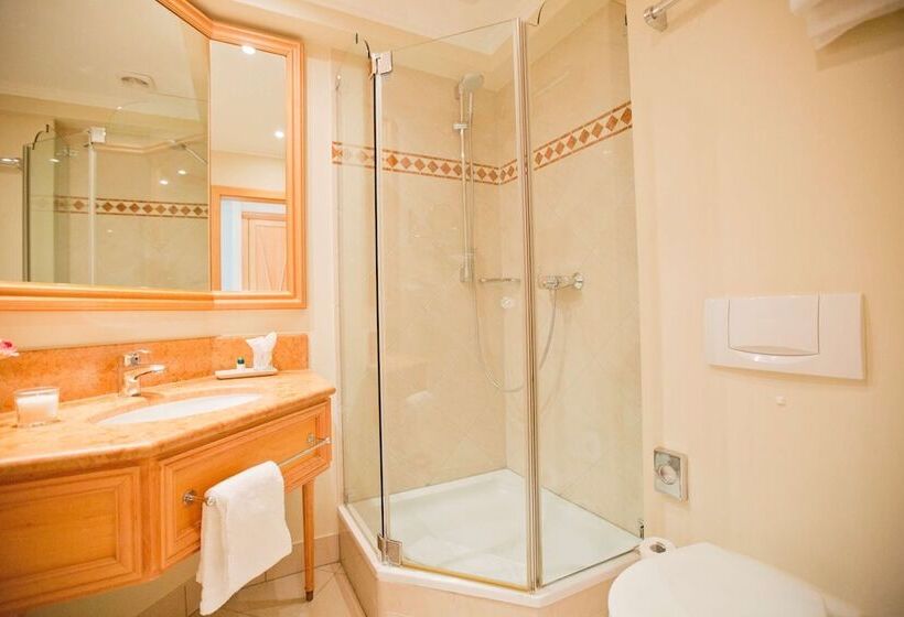 스탠다드 싱글 룸, Central Hotel Kaiserhof