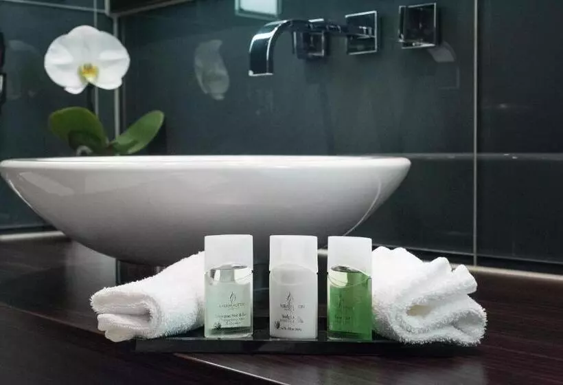 デラックスルーム, Leoso Hotel Leverkusen
