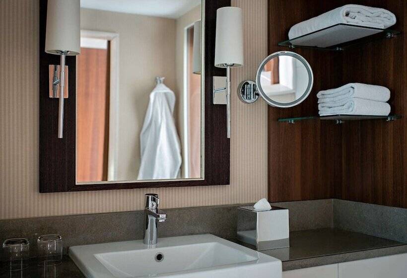 غرفة سوبيريور, Pullman Cologne