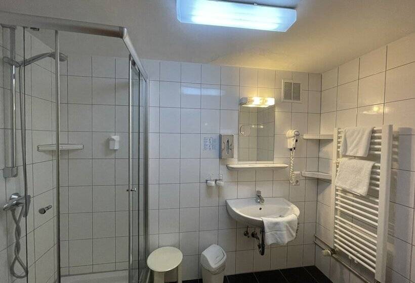 Номер Стандарт Индивидуальный, Rheinlust