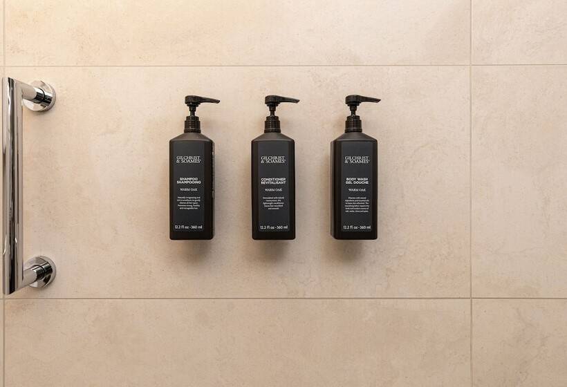 Номер Стандарт, Sheraton Essen