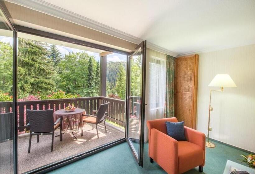 デラックスルーム, Romantik Hotel Stryckhaus