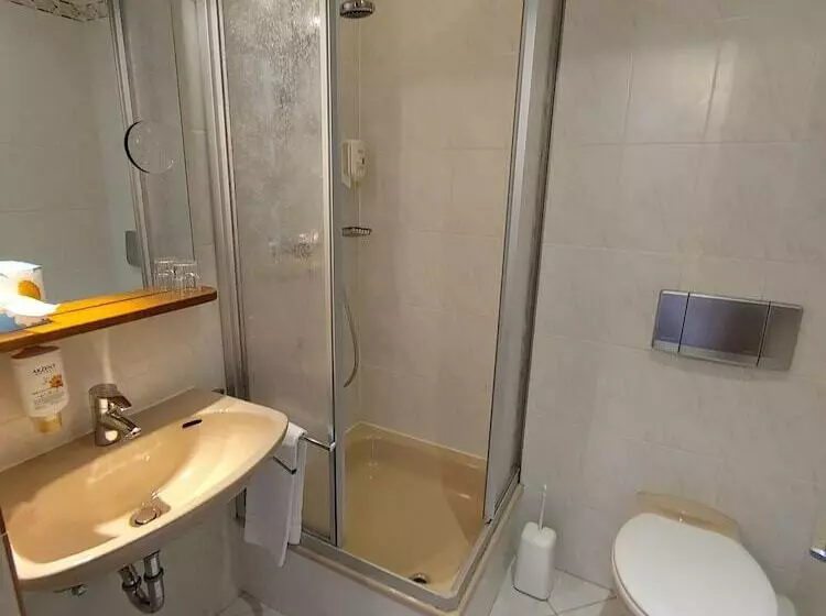 اتاق استاندارد یک نفره, Akzent Hotel Berg S Alte Bauernschänke  Wellness Und Wein