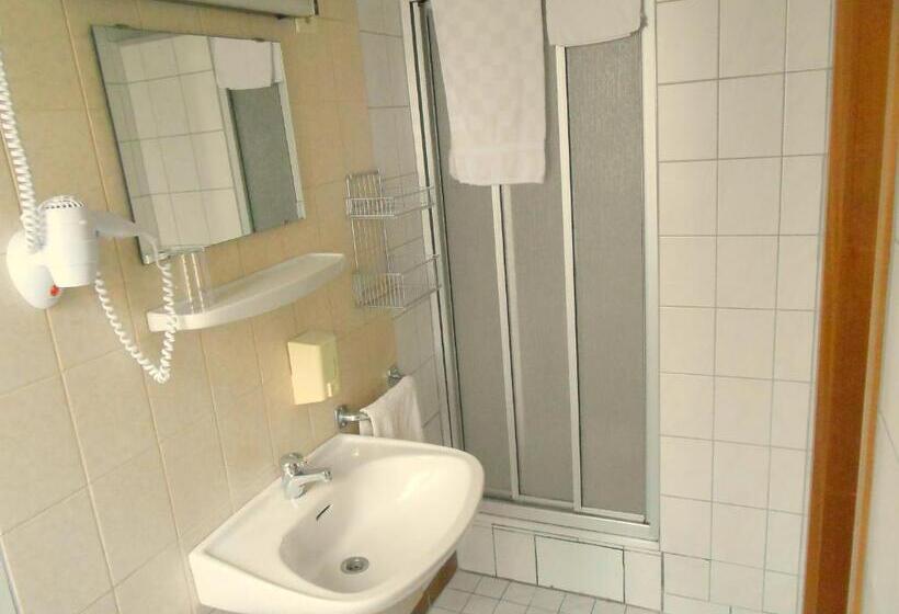 스탠다드 싱글 룸, Andernacher Hof