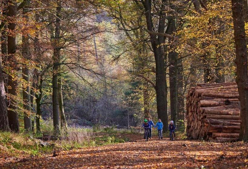 غرفة قياسية, Fletcher Hotel Restaurant Arnsberg Sauerland