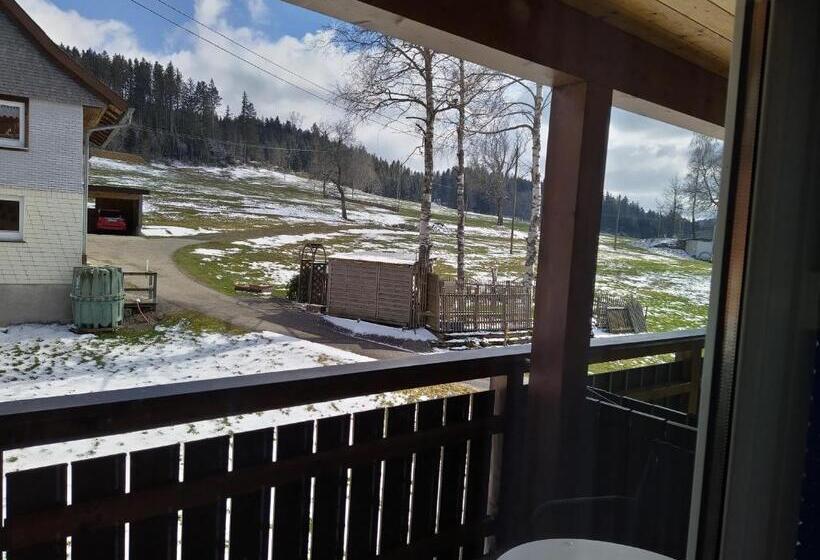 Номер Стандарт Индивидуальный с Балконом, Faller