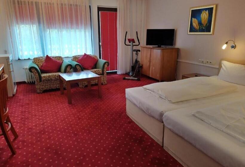 Номер Стандарт с Террасой, Faller