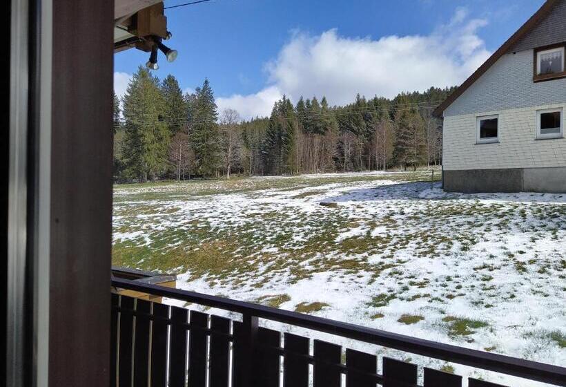 Номер Стандарт с Балконом, Faller