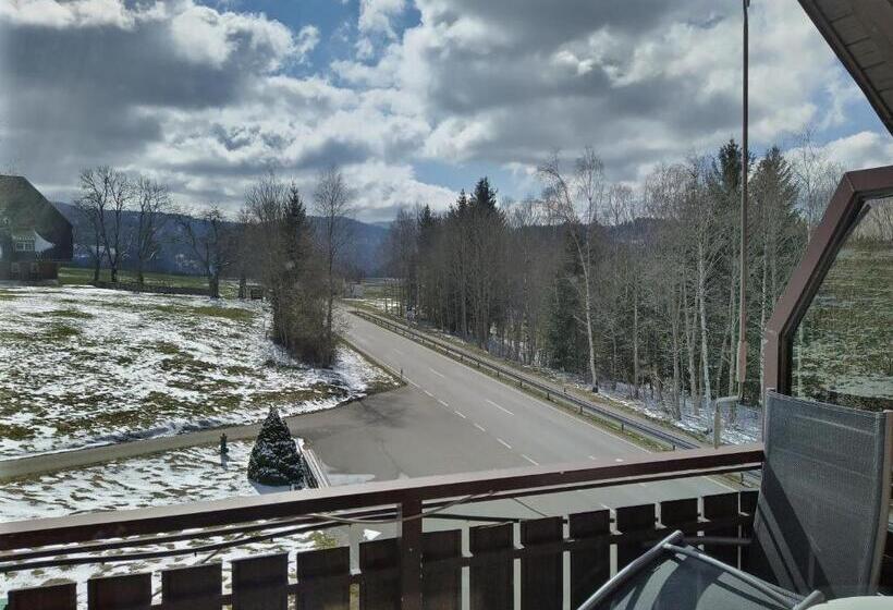 Номер Стандарт Вид на Горы, Faller