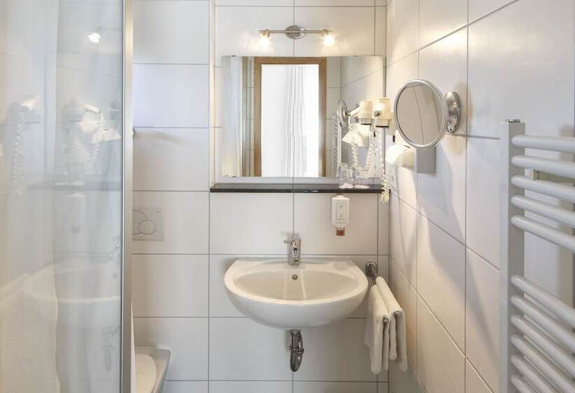 חדר סטנדרט יחיד, Invite Hotel Löwen Freiburg