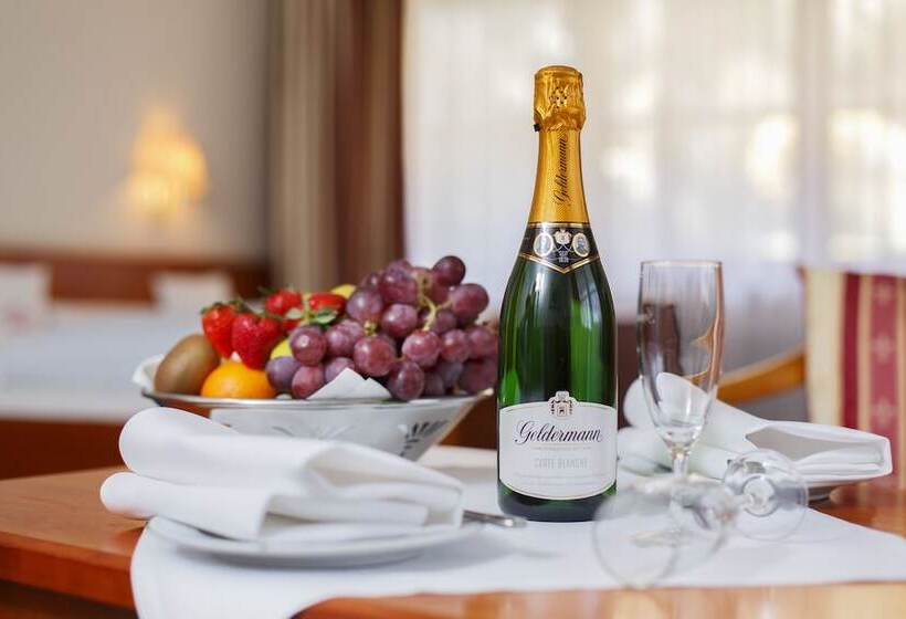 חדר סטנדרט, Invite Hotel Löwen Freiburg