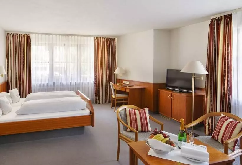 اتاق استاندارد, Invite Hotel Löwen Freiburg