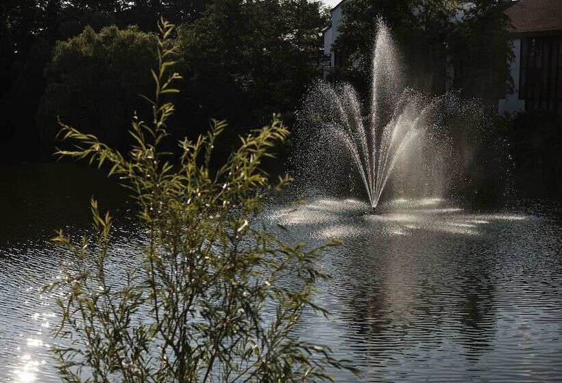 Президентский Люкс, Hilton Frankfurt Gravenbruch