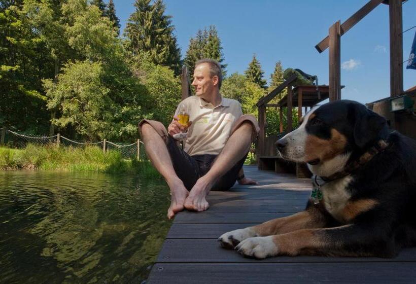 스탠다드 발코니 룸, Kleins Wiese