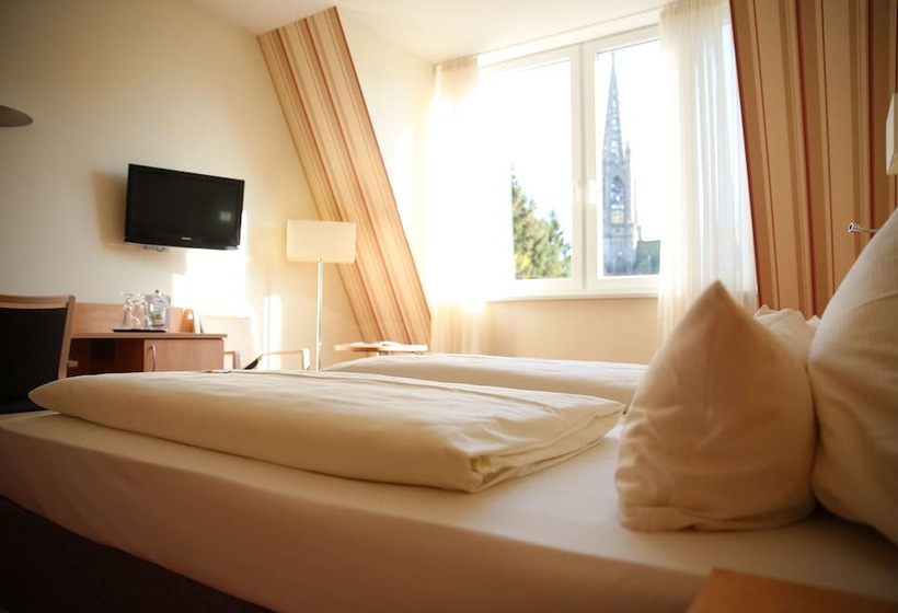 高级单人间, Lowengarten