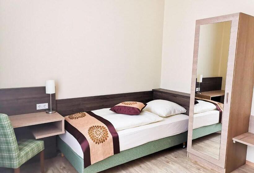 غرفة قياسية فردية, Mainzer Hof