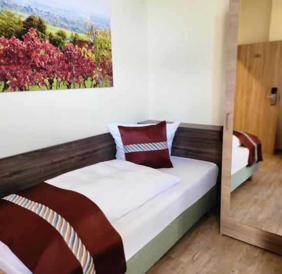 غرفة قياسية فردية, Mainzer Hof