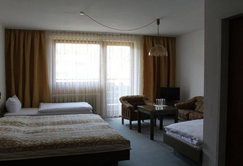 غرفة قياسية فردية, Stadt Gernsbach