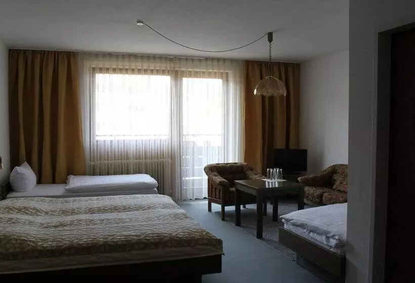 Standard Yhden Hengen Huone, Stadt Gernsbach