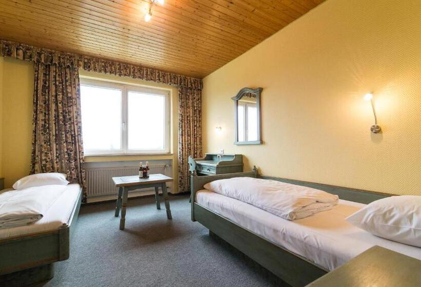 غرفة قياسية, Tagungshotel Höchster Hof