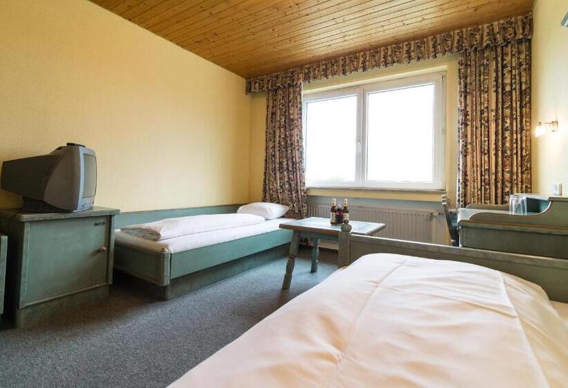 اتاق استاندارد سه نفره, Tagungshotel Höchster Hof
