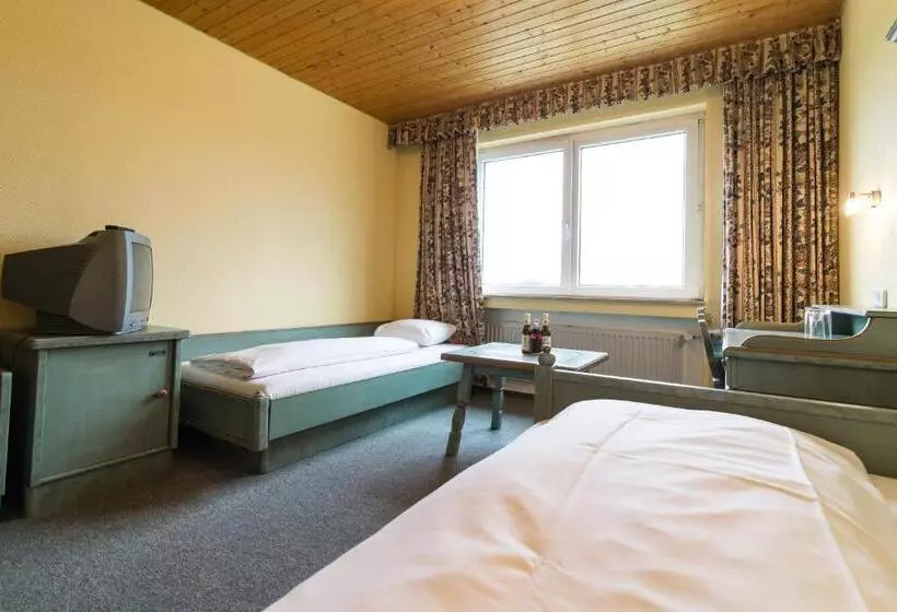 اتاق استاندارد سه نفره, Tagungshotel Höchster Hof