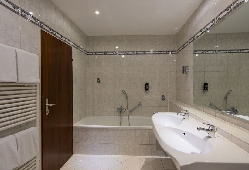 غرفة قياسية, Tagungshotel Höchster Hof