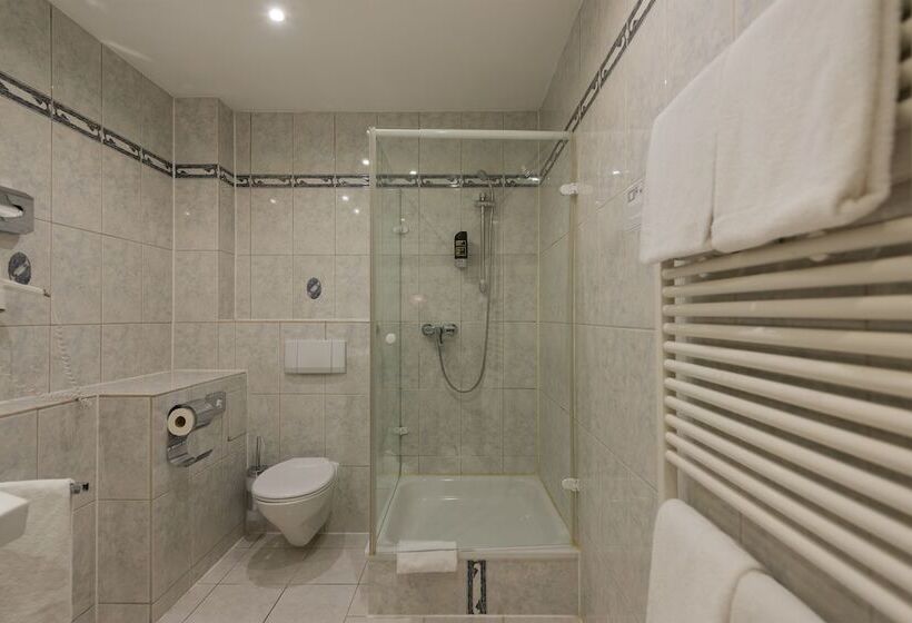 غرفة قياسية فردية, Tagungshotel Höchster Hof