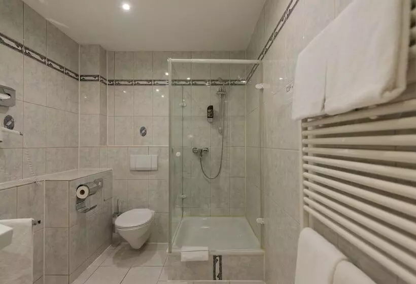 اتاق استاندارد یک نفره, Tagungshotel Höchster Hof
